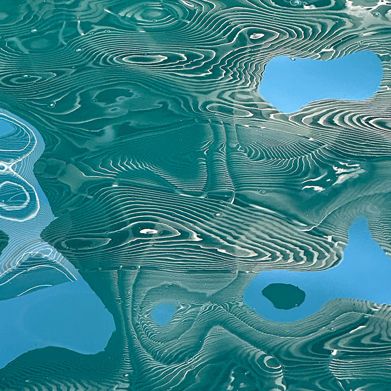 300 N STATE IV FLIP FLOPS