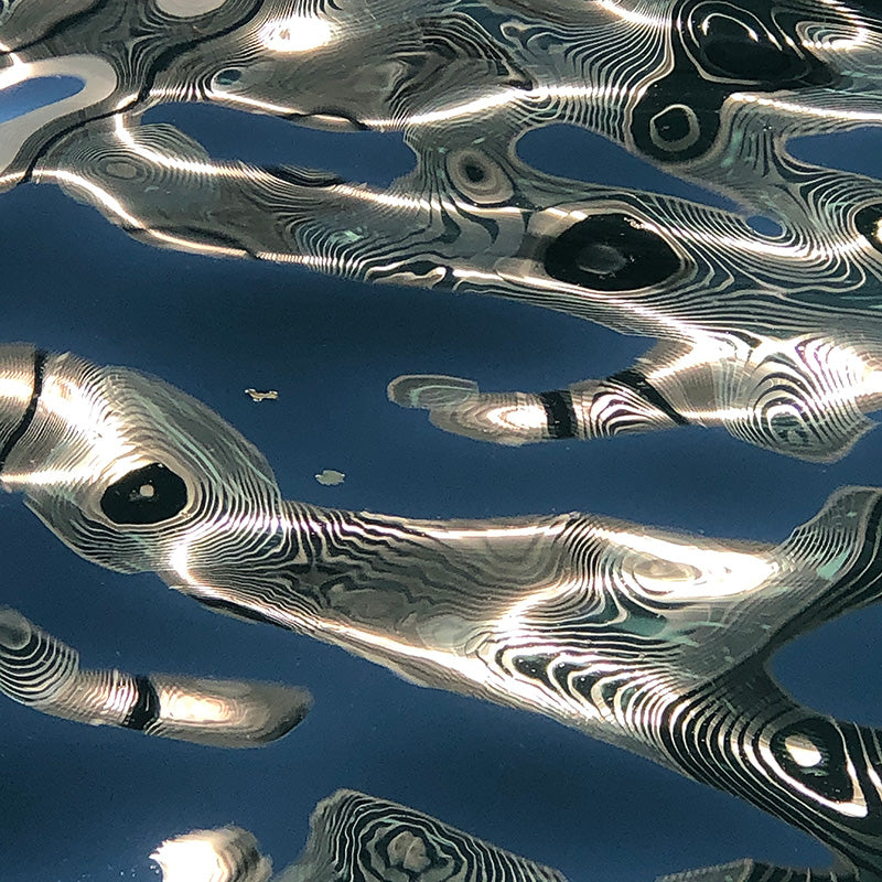 353 N CLARK I FLIP FLOPS