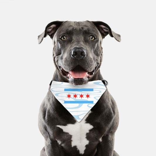 Collar Pet Bandana (LG & XL)