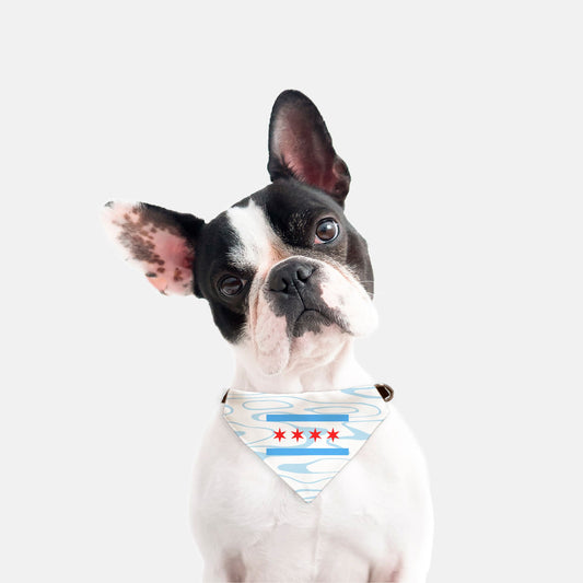 Collar Pet Bandana S/M